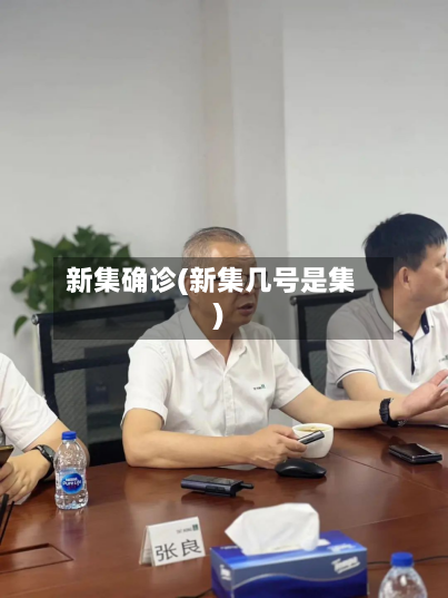 新集确诊(新集几号是集)