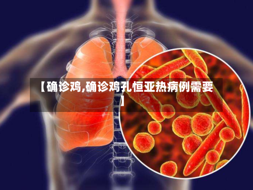 【确诊鸡,确诊鸡孔恒亚热病例需要】-第2张图片