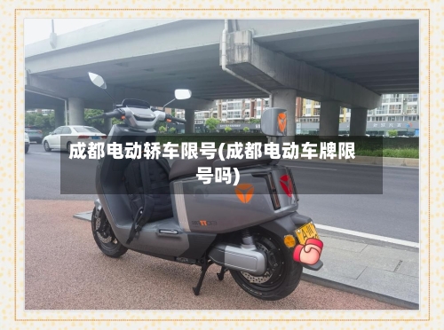 成都电动轿车限号(成都电动车牌限号吗)