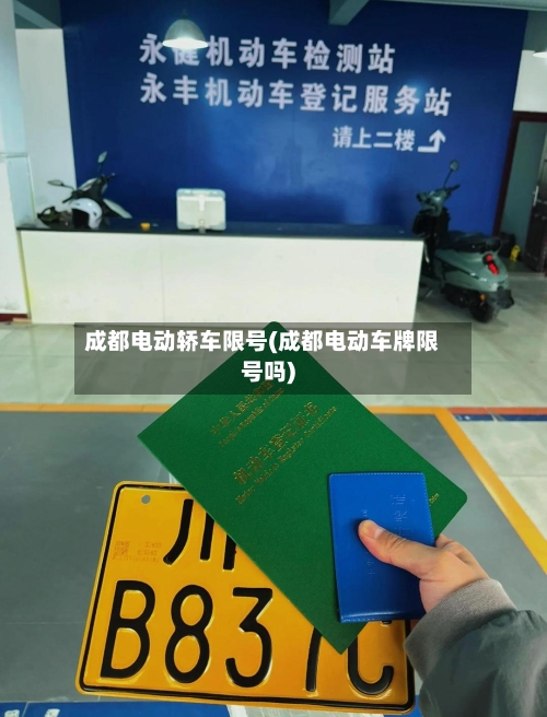 成都电动轿车限号(成都电动车牌限号吗)-第3张图片