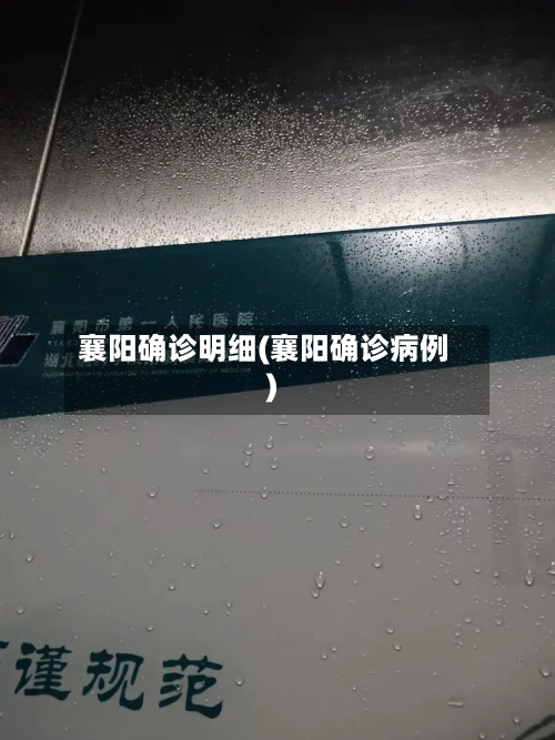 襄阳确诊明细(襄阳确诊病例)-第2张图片