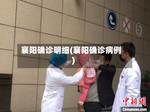 襄阳确诊明细(襄阳确诊病例)