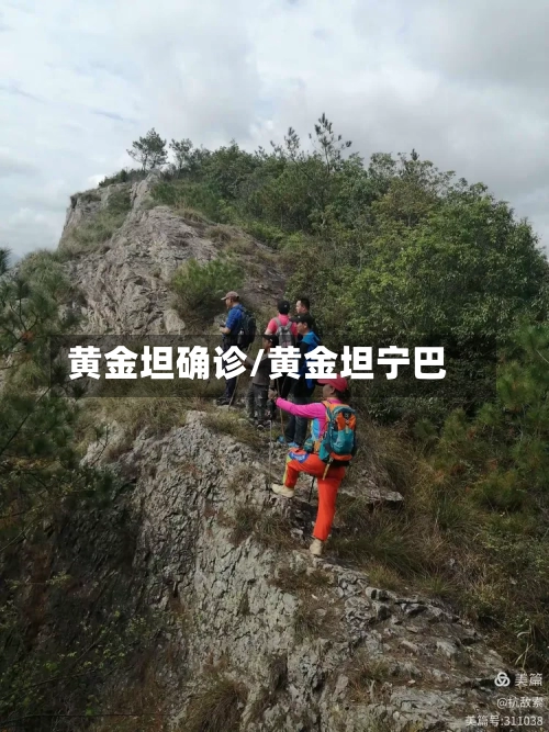 黄金坦确诊/黄金坦宁巴