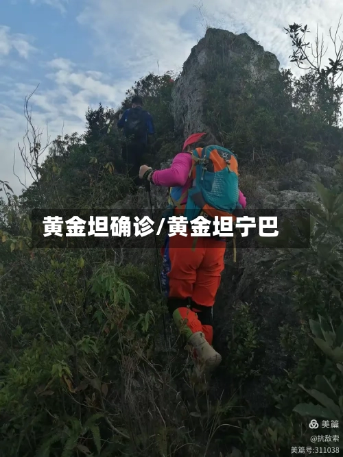 黄金坦确诊/黄金坦宁巴-第2张图片