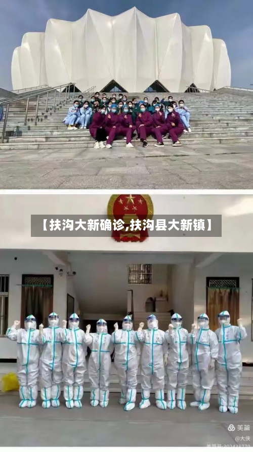 【扶沟大新确诊,扶沟县大新镇】-第3张图片