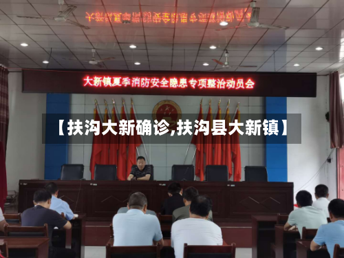 【扶沟大新确诊,扶沟县大新镇】
