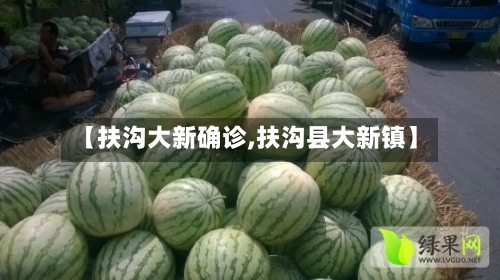 【扶沟大新确诊,扶沟县大新镇】-第2张图片