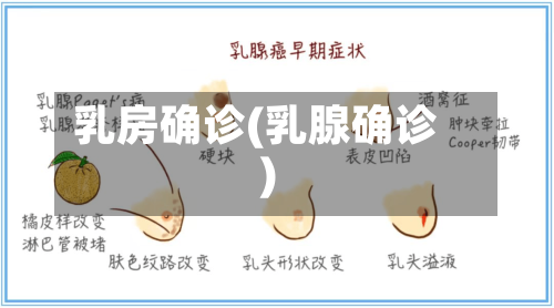 乳房确诊(乳腺确诊)