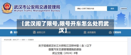 【武汉闯了限号,限号开车怎么处罚武汉】-第2张图片