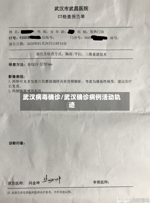 武汉病毒确诊/武汉确诊病例活动轨迹