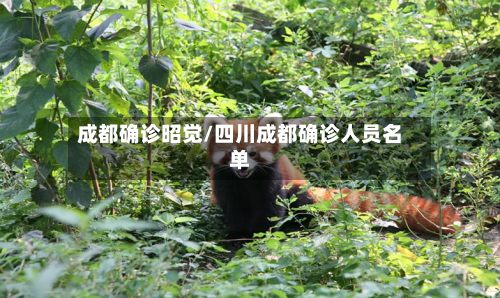 成都确诊昭觉/四川成都确诊人员名单-第2张图片
