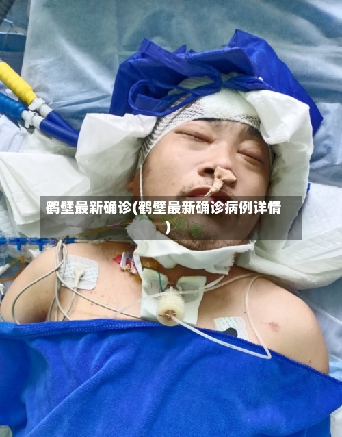 鹤壁最新确诊(鹤壁最新确诊病例详情)