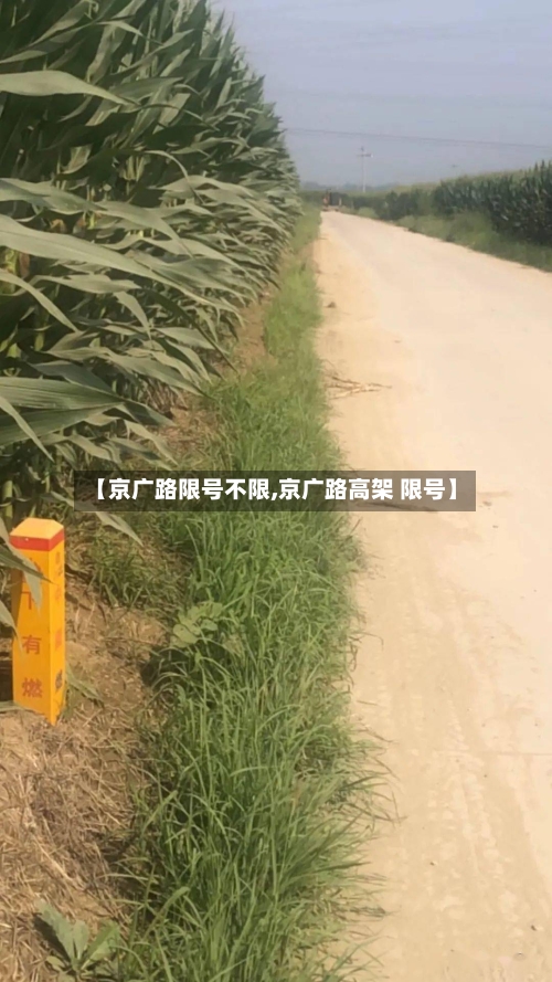 【京广路限号不限,京广路高架 限号】-第3张图片