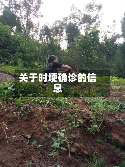 关于时埂确诊的信息
