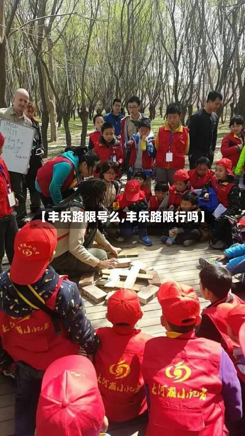 【丰乐路限号么,丰乐路限行吗】