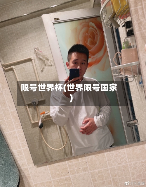 限号世界杯(世界限号国家)