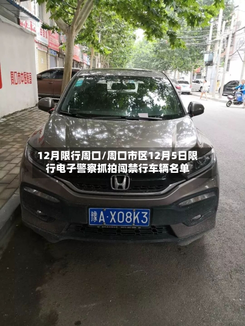 12月限行周口/周口市区12月5日限行电子警察抓拍闯禁行车辆名单-第2张图片