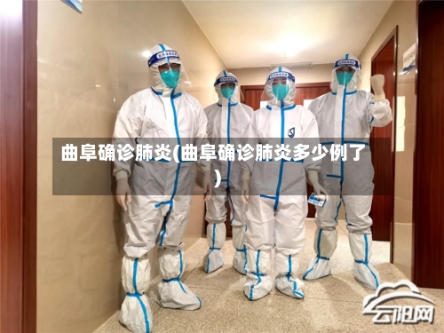 曲阜确诊肺炎(曲阜确诊肺炎多少例了)-第3张图片