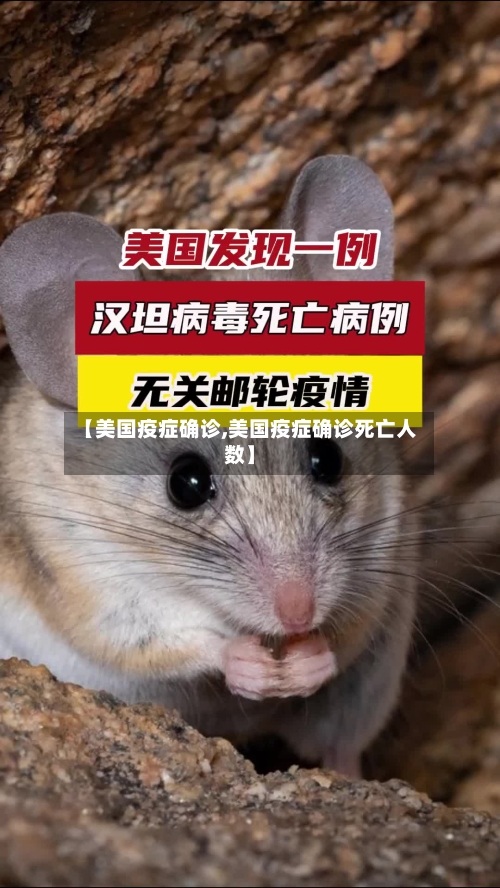 【美国疫症确诊,美国疫症确诊死亡人数】-第2张图片