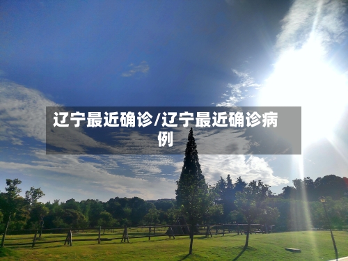 辽宁最近确诊/辽宁最近确诊病例
