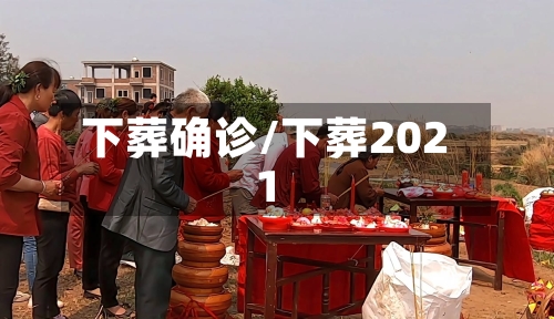 下葬确诊/下葬2021