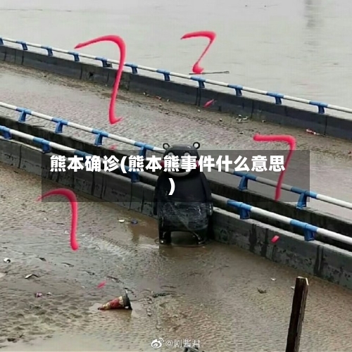 熊本确诊(熊本熊事件什么意思)