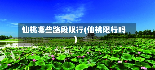仙桃哪些路段限行(仙桃限行吗)