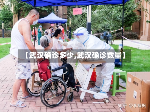 【武汉确诊多少,武汉确诊数量】