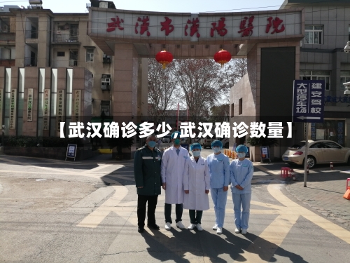 【武汉确诊多少,武汉确诊数量】-第2张图片