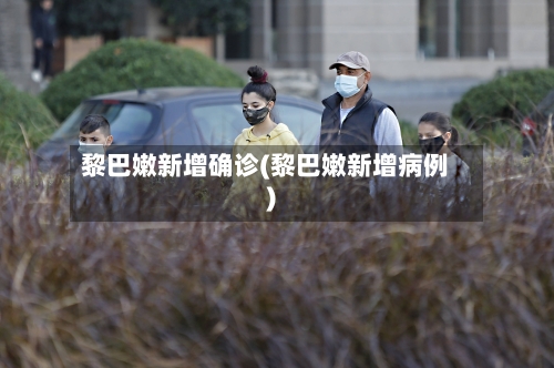 黎巴嫩新增确诊(黎巴嫩新增病例)-第2张图片