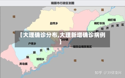 【大理确诊分布,大理新增确诊病例】