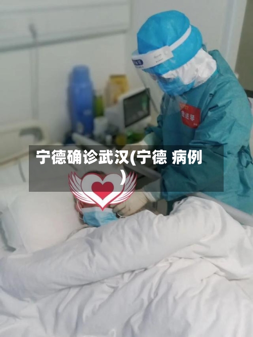 宁德确诊武汉(宁德 病例)-第2张图片