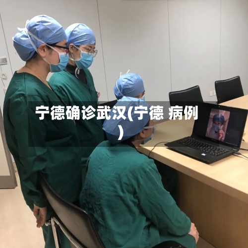 宁德确诊武汉(宁德 病例)-第3张图片
