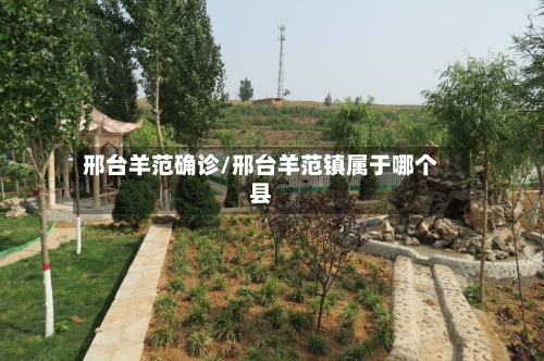 邢台羊范确诊/邢台羊范镇属于哪个县
