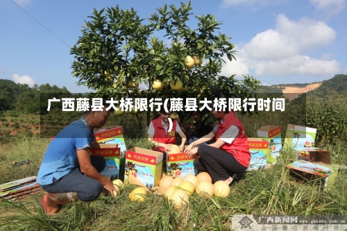 广西藤县大桥限行(藤县大桥限行时间)-第2张图片