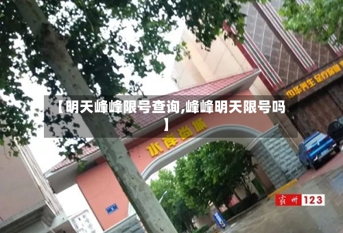【明天峰峰限号查询,峰峰明天限号吗】-第3张图片