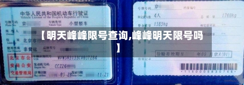 【明天峰峰限号查询,峰峰明天限号吗】-第2张图片
