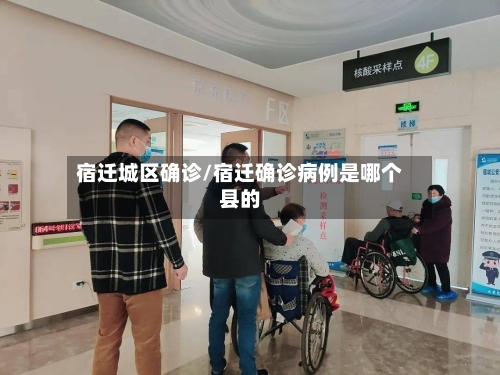 宿迁城区确诊/宿迁确诊病例是哪个县的-第3张图片