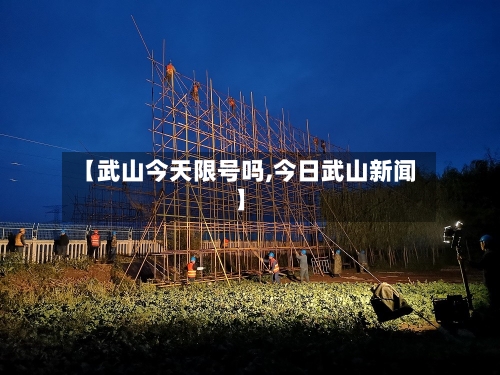 【武山今天限号吗,今日武山新闻】-第2张图片