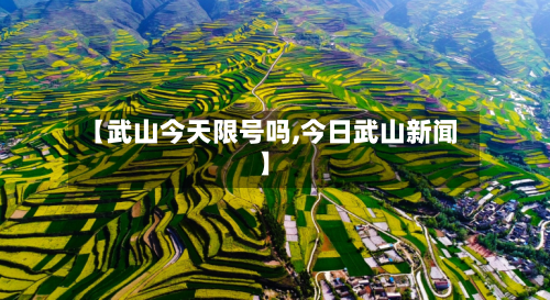 【武山今天限号吗,今日武山新闻】