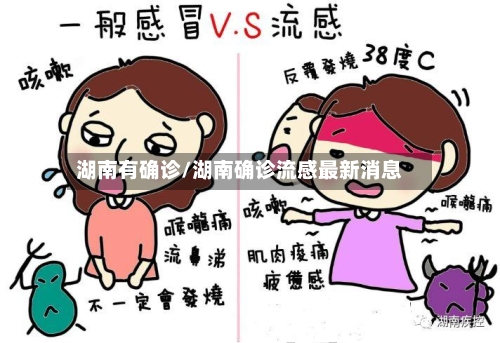 湖南有确诊/湖南确诊流感最新消息-第3张图片