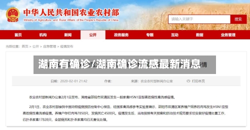 湖南有确诊/湖南确诊流感最新消息-第2张图片