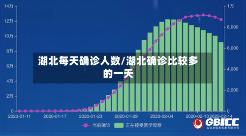 湖北每天确诊人数/湖北确诊比较多的一天