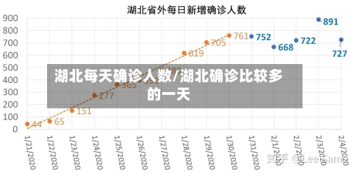 湖北每天确诊人数/湖北确诊比较多的一天-第2张图片