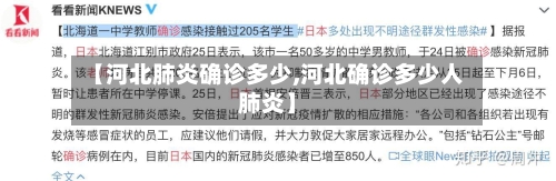 【河北肺炎确诊多少,河北确诊多少人肺炎】-第2张图片
