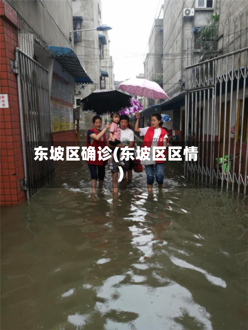 东坡区确诊(东坡区区情)