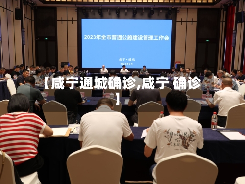 【咸宁通城确诊,咸宁 确诊】-第3张图片