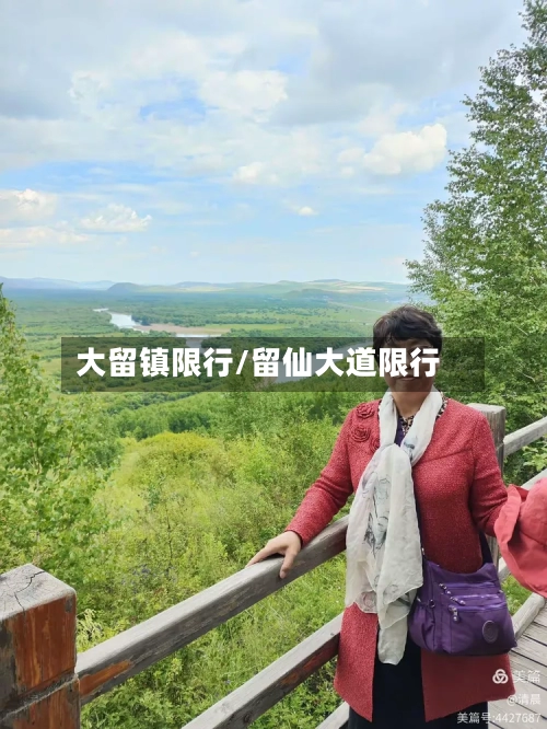 大留镇限行/留仙大道限行