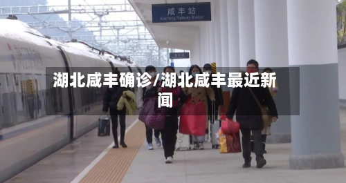 湖北咸丰确诊/湖北咸丰最近新闻