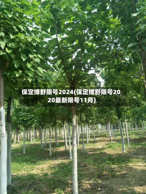保定博野限号2024(保定博野限号2020最新限号11月)-第2张图片